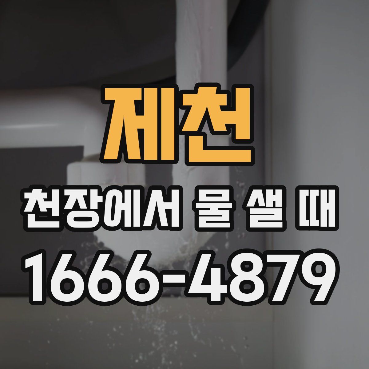 제천 천장에서 물 샐 때