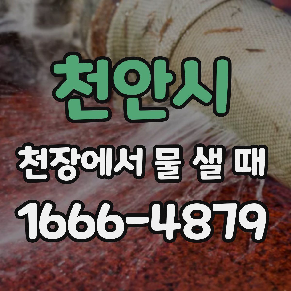천안시 천장에서 물 샐 때