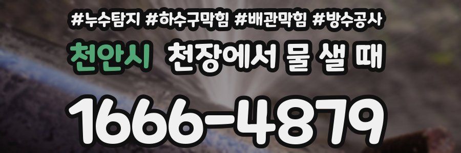 천안시 천장에서 물 샐 때
