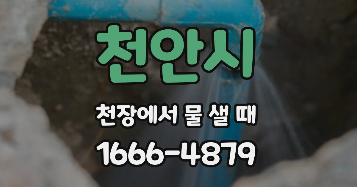천안시 천장에서 물 샐 때