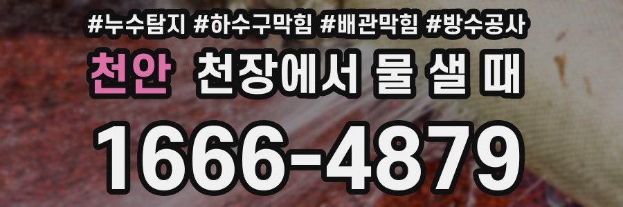 천안 천장에서 물 샐 때