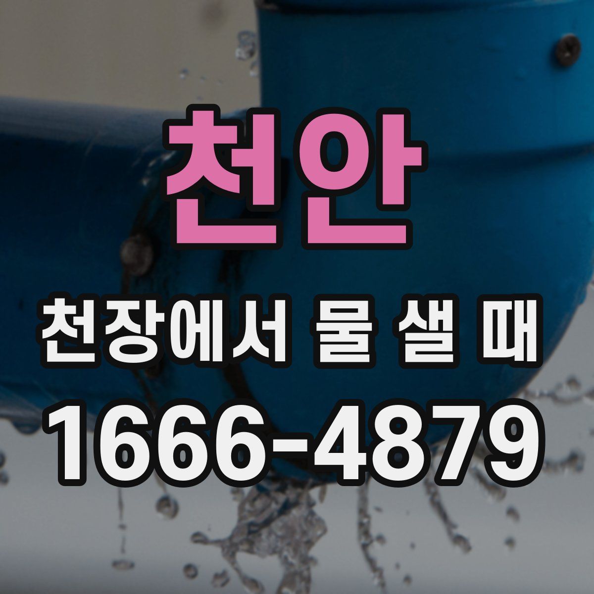 천안 천장에서 물 샐 때