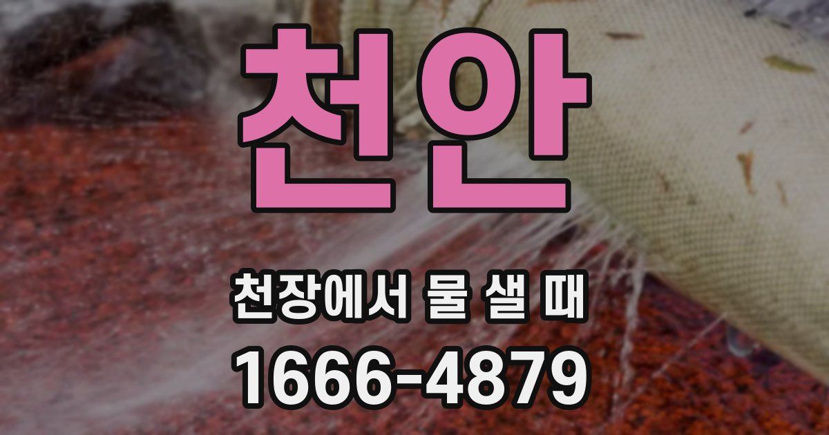천안 천장에서 물 샐 때