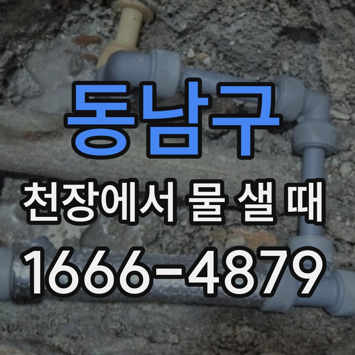 동남구 천장에서 물 샐 때