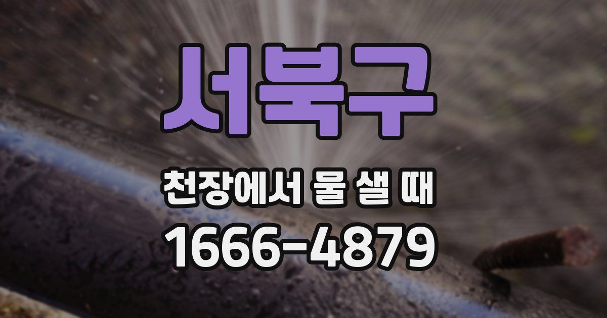 서북구 천장에서 물 샐 때