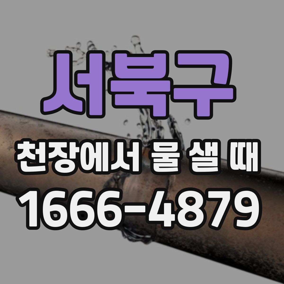 서북구 천장에서 물 샐 때