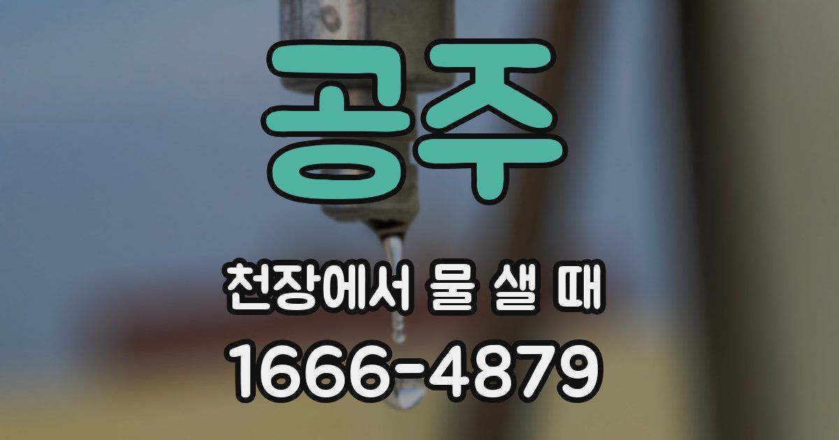 공주 천장에서 물 샐 때