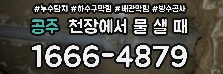 공주 천장에서 물 샐 때