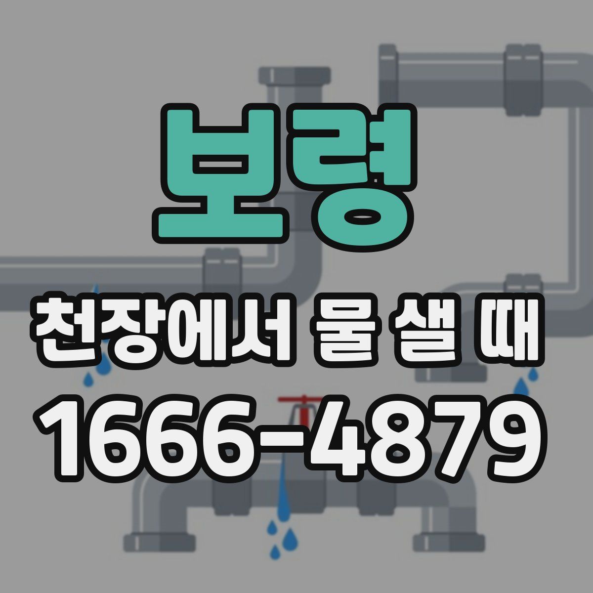 보령 천장에서 물 샐 때