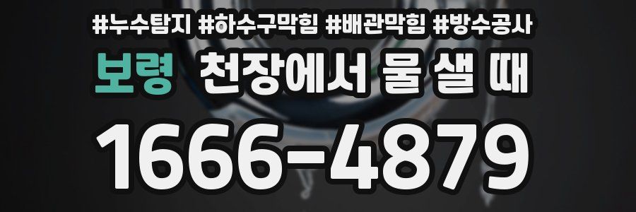 보령 천장에서 물 샐 때