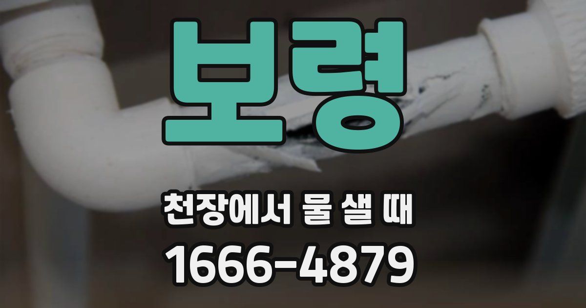 보령 천장에서 물 샐 때