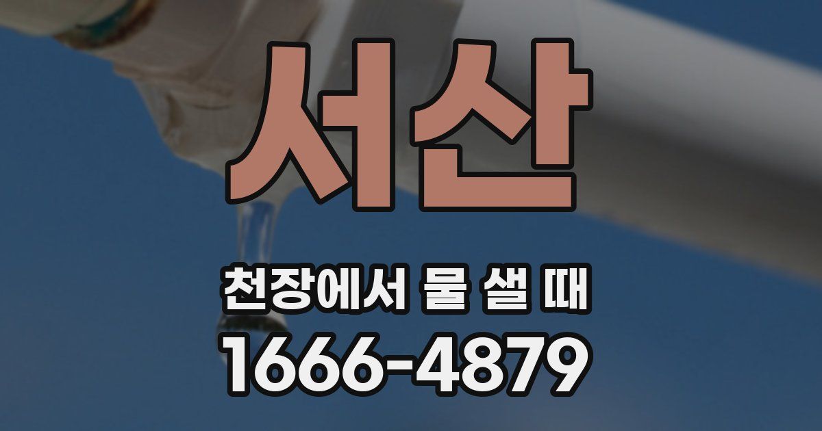 서산 천장에서 물 샐 때
