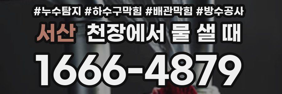 서산 천장에서 물 샐 때