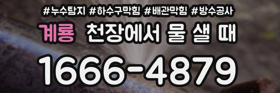 계룡 천장에서 물 샐 때