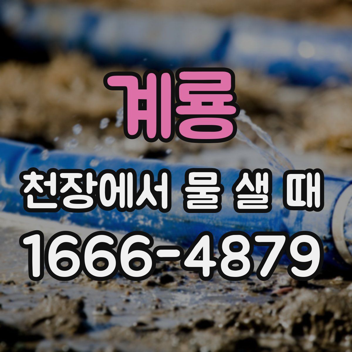 계룡 천장에서 물 샐 때