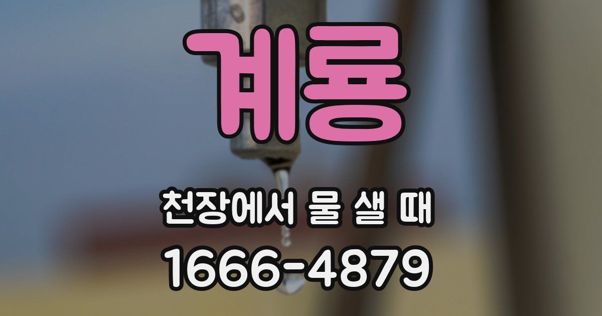 계룡 천장에서 물 샐 때