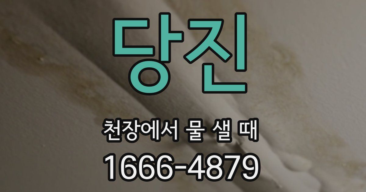 당진 천장에서 물 샐 때