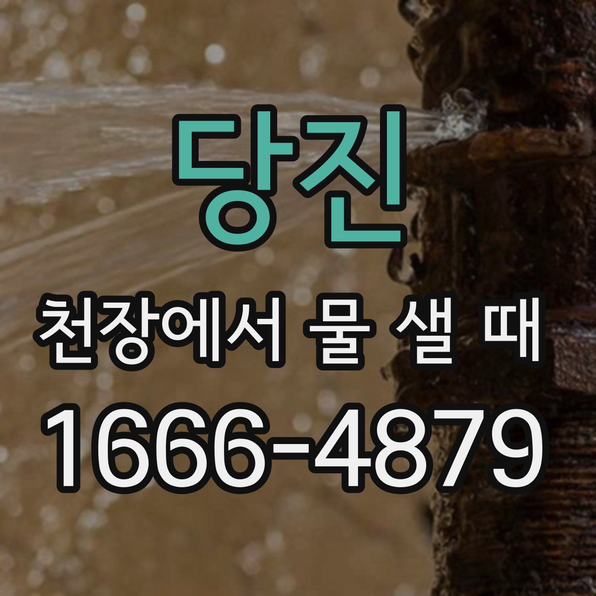 당진 천장에서 물 샐 때