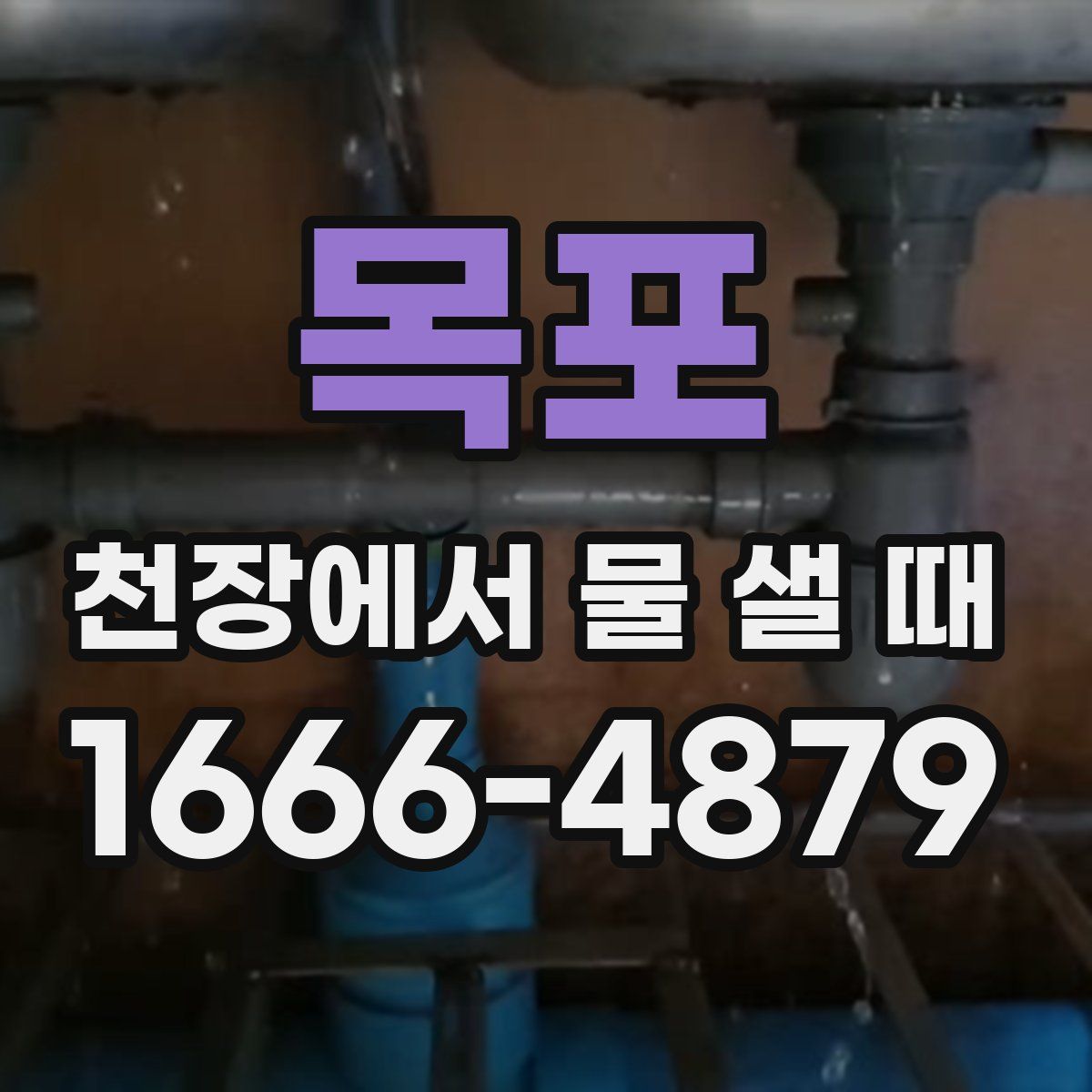 목포 천장에서 물 샐 때