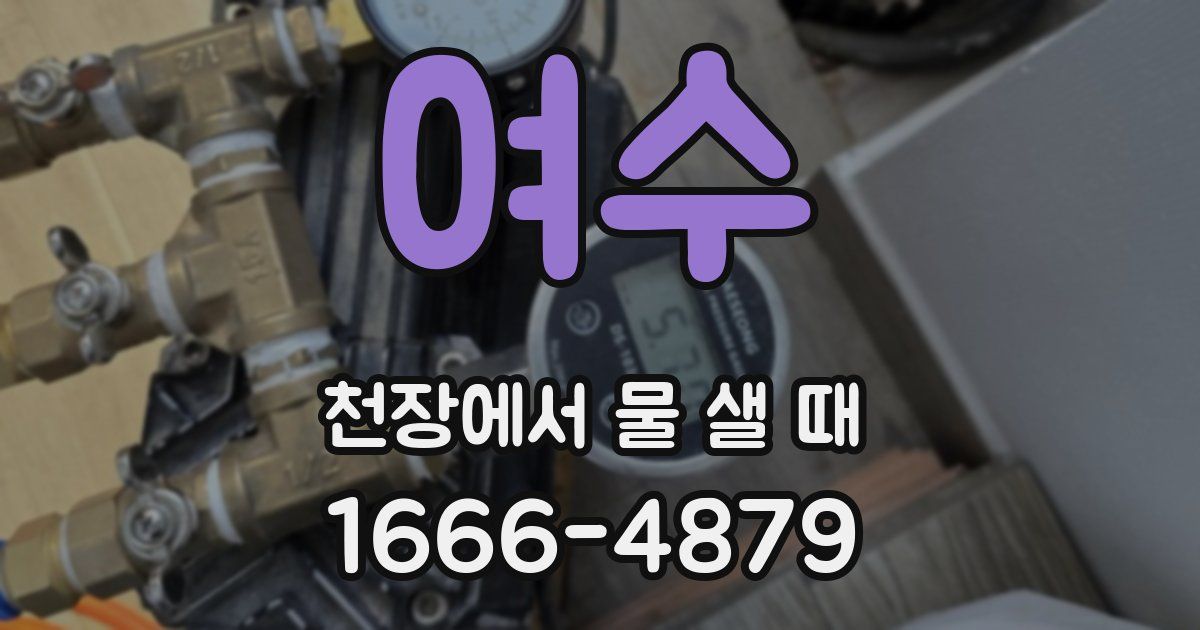 여수 천장에서 물 샐 때