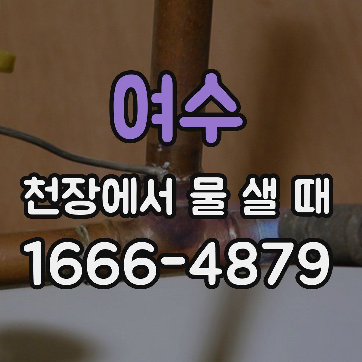여수 천장에서 물 샐 때