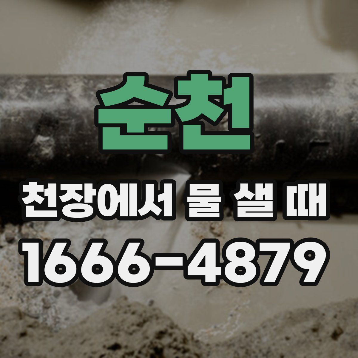 순천 천장에서 물 샐 때