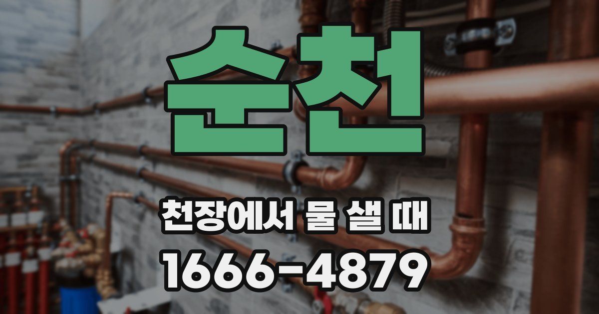 순천 천장에서 물 샐 때