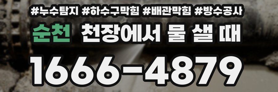 순천 천장에서 물 샐 때