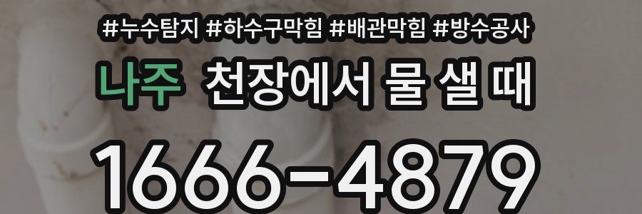 나주 천장에서 물 샐 때