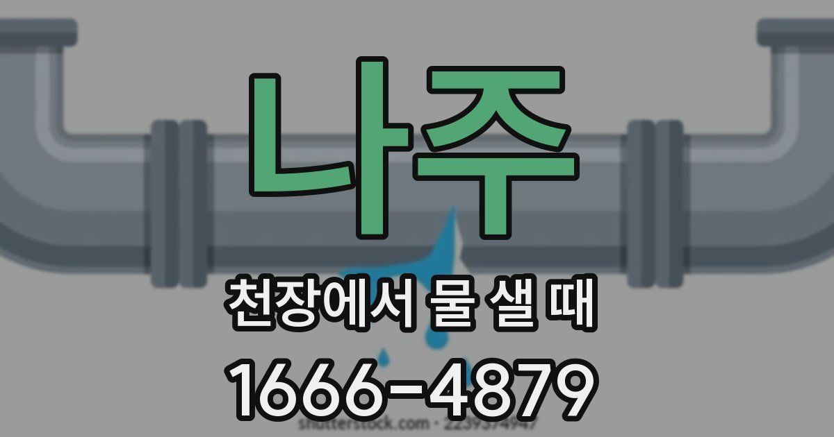 나주 천장에서 물 샐 때