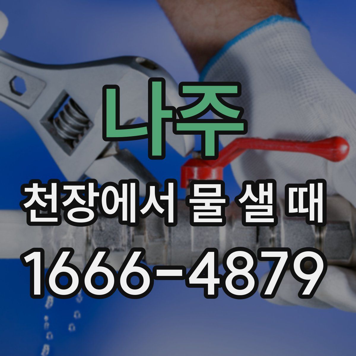 나주 천장에서 물 샐 때