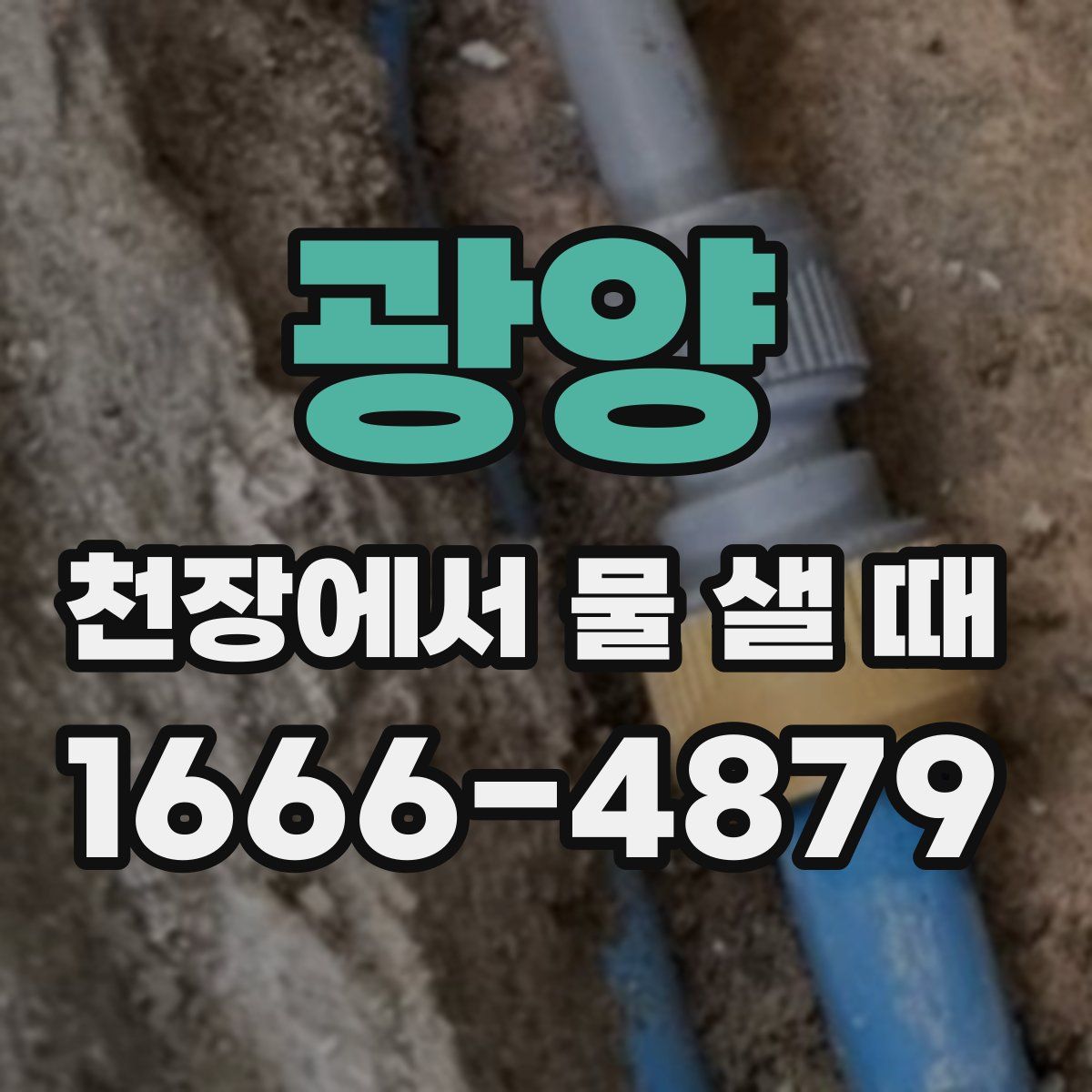 광양 천장에서 물 샐 때