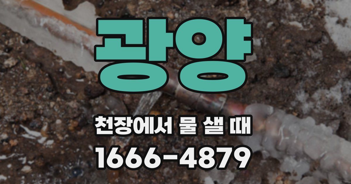 광양 천장에서 물 샐 때