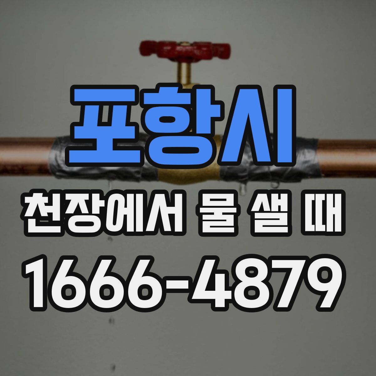 포항시 천장에서 물 샐 때