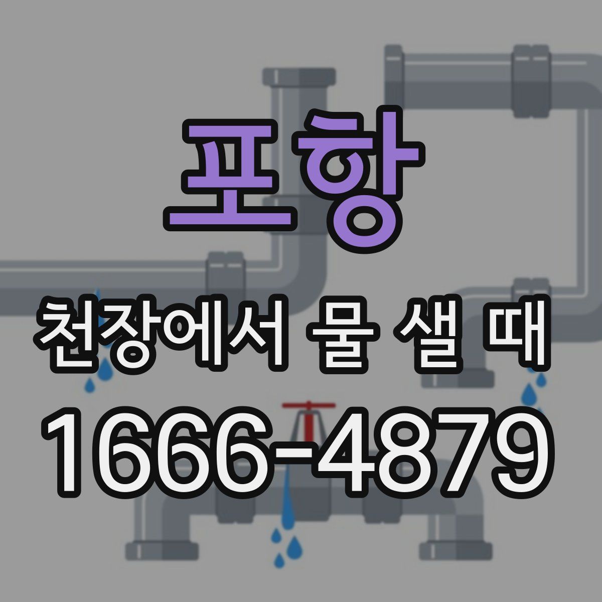포항 천장에서 물 샐 때