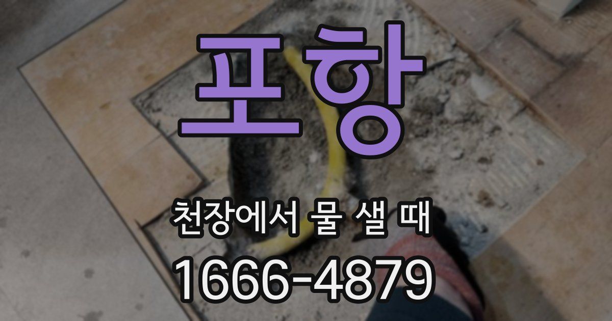 포항 천장에서 물 샐 때