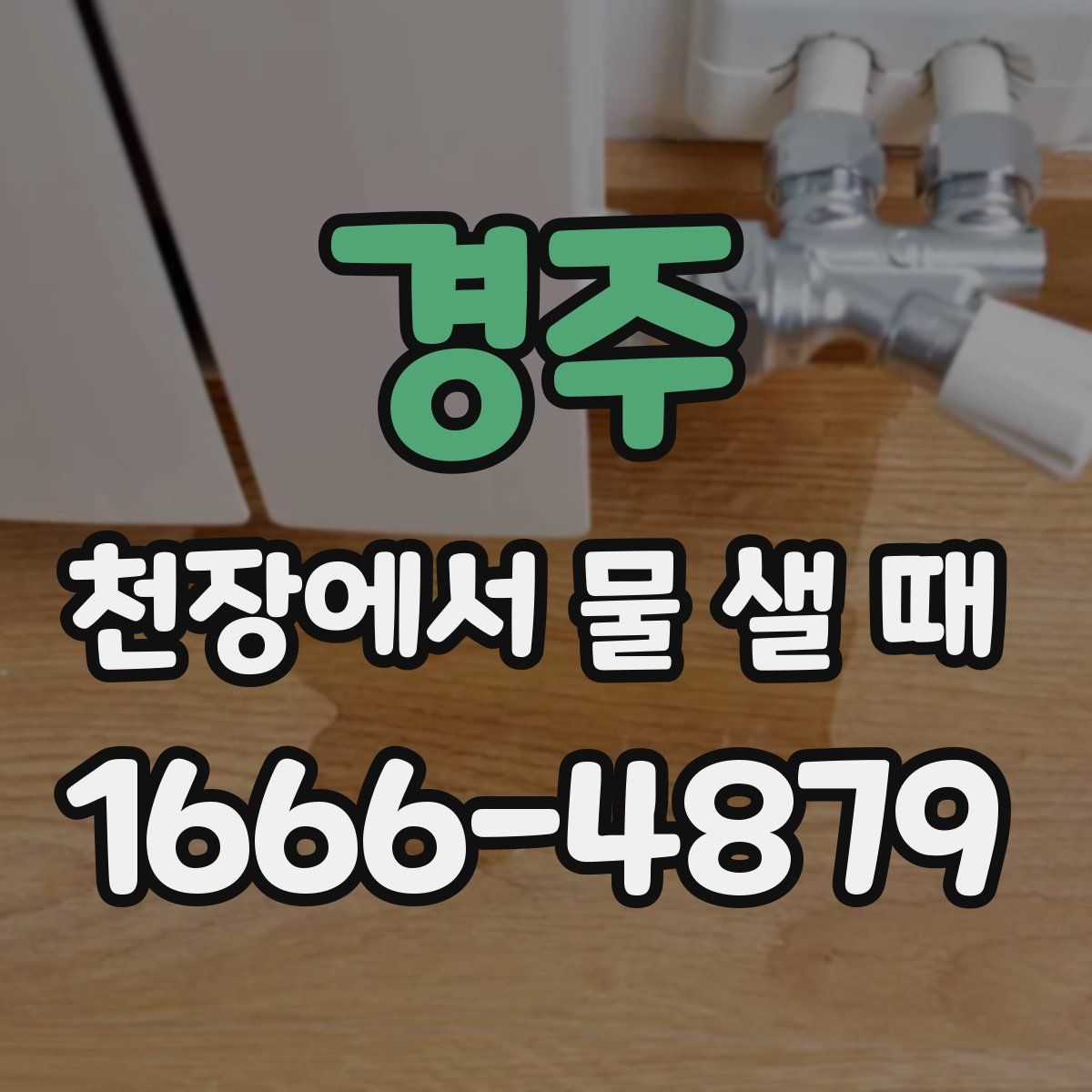 경주 천장에서 물 샐 때