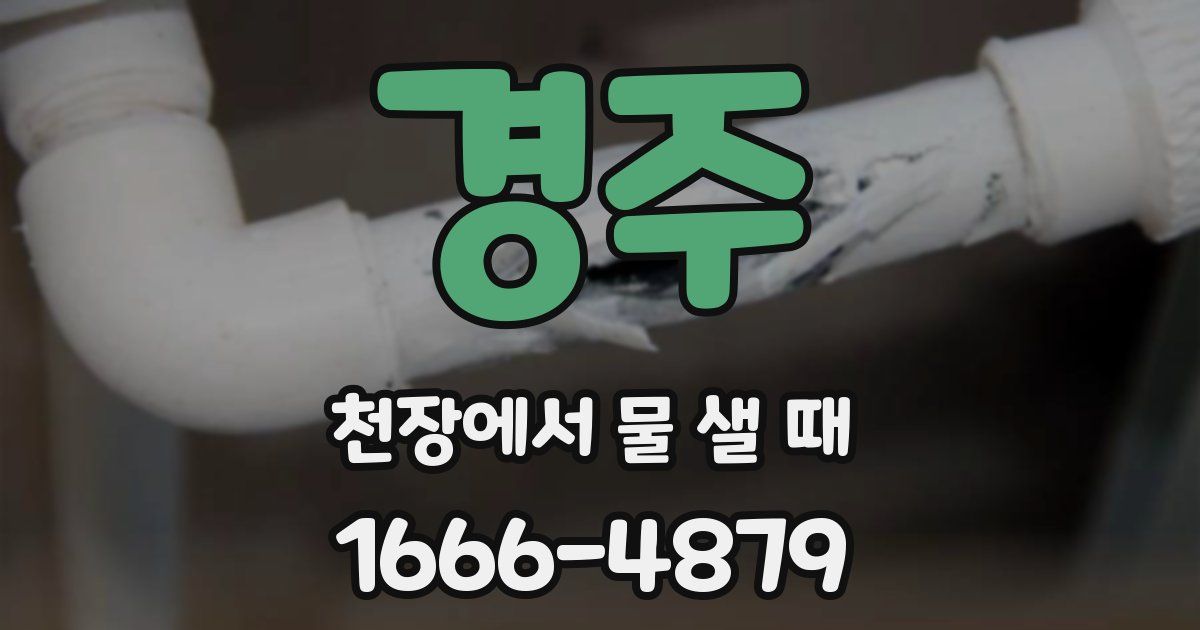 경주 천장에서 물 샐 때