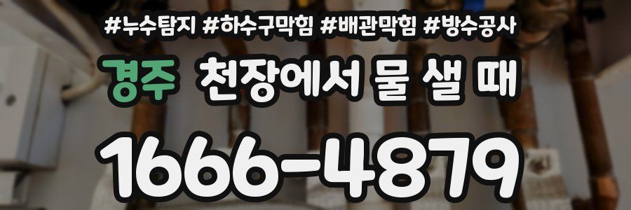 경주 천장에서 물 샐 때