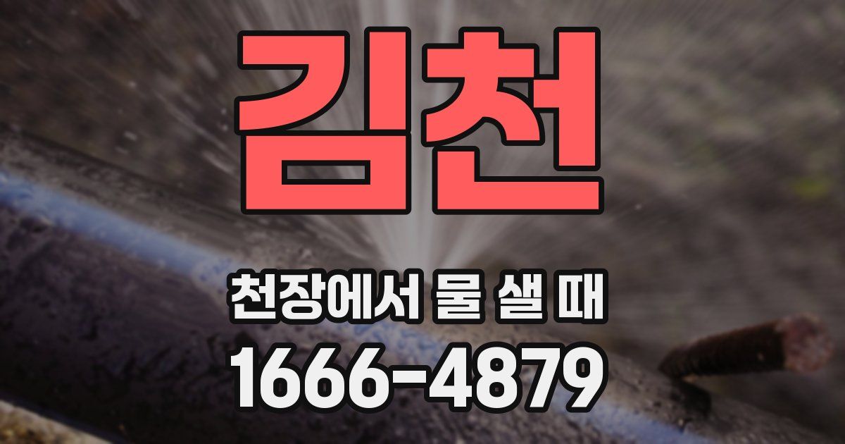 김천 천장에서 물 샐 때
