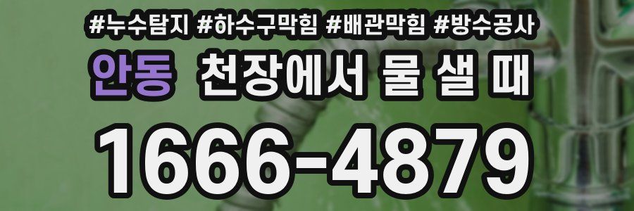 안동 천장에서 물 샐 때