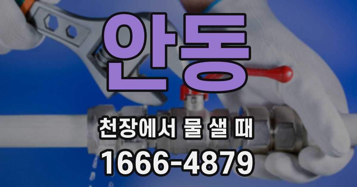 안동 천장에서 물 샐 때