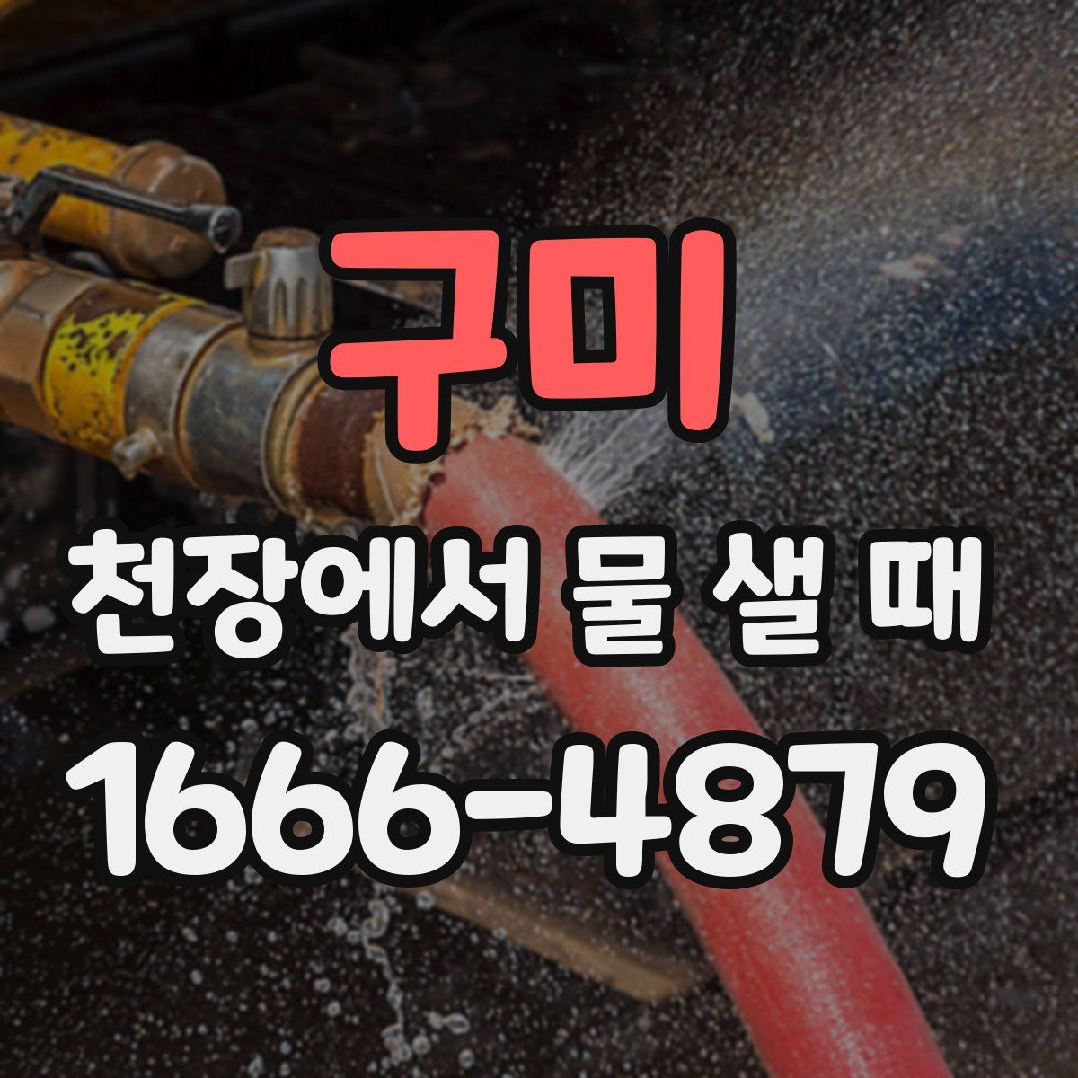 구미 천장에서 물 샐 때