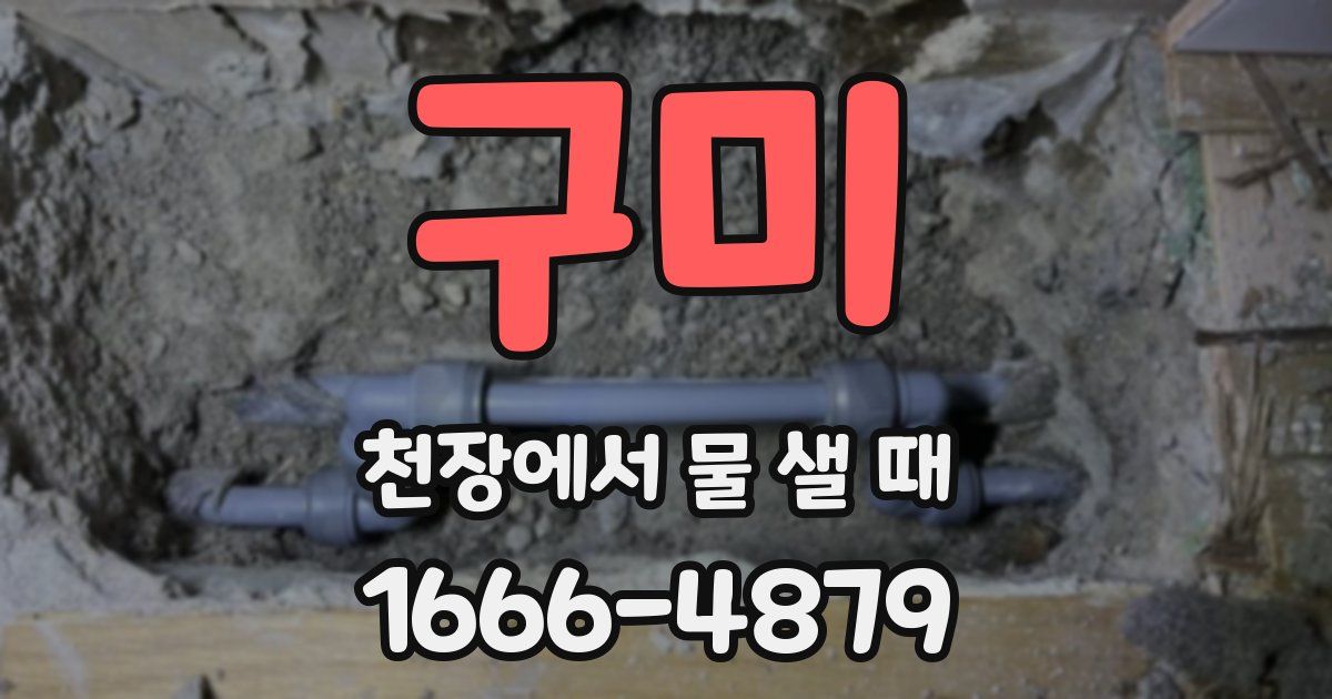 구미 천장에서 물 샐 때