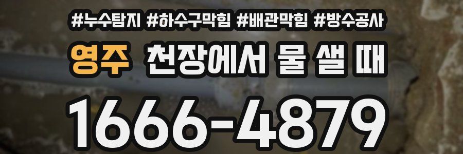 영주 천장에서 물 샐 때