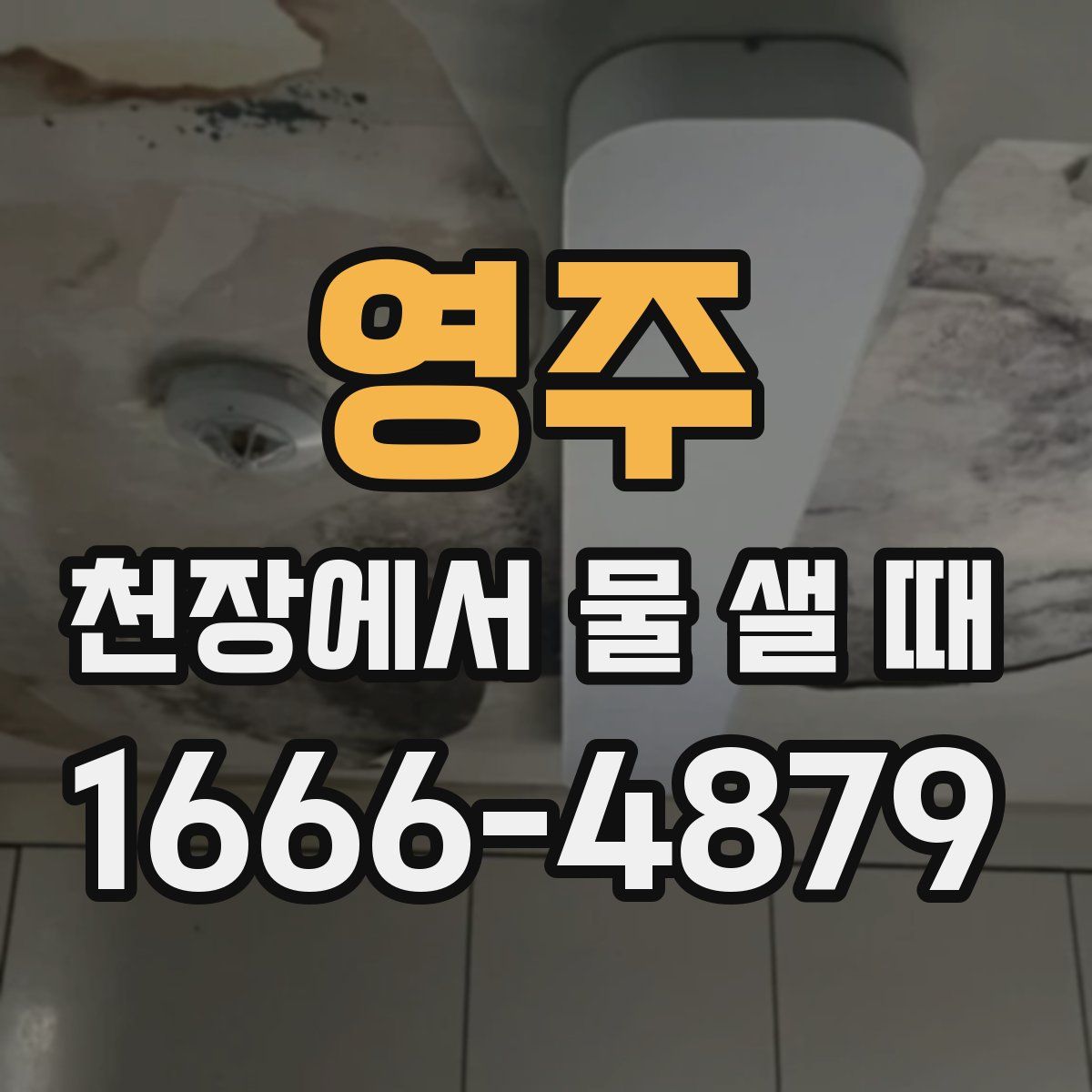 영주 천장에서 물 샐 때