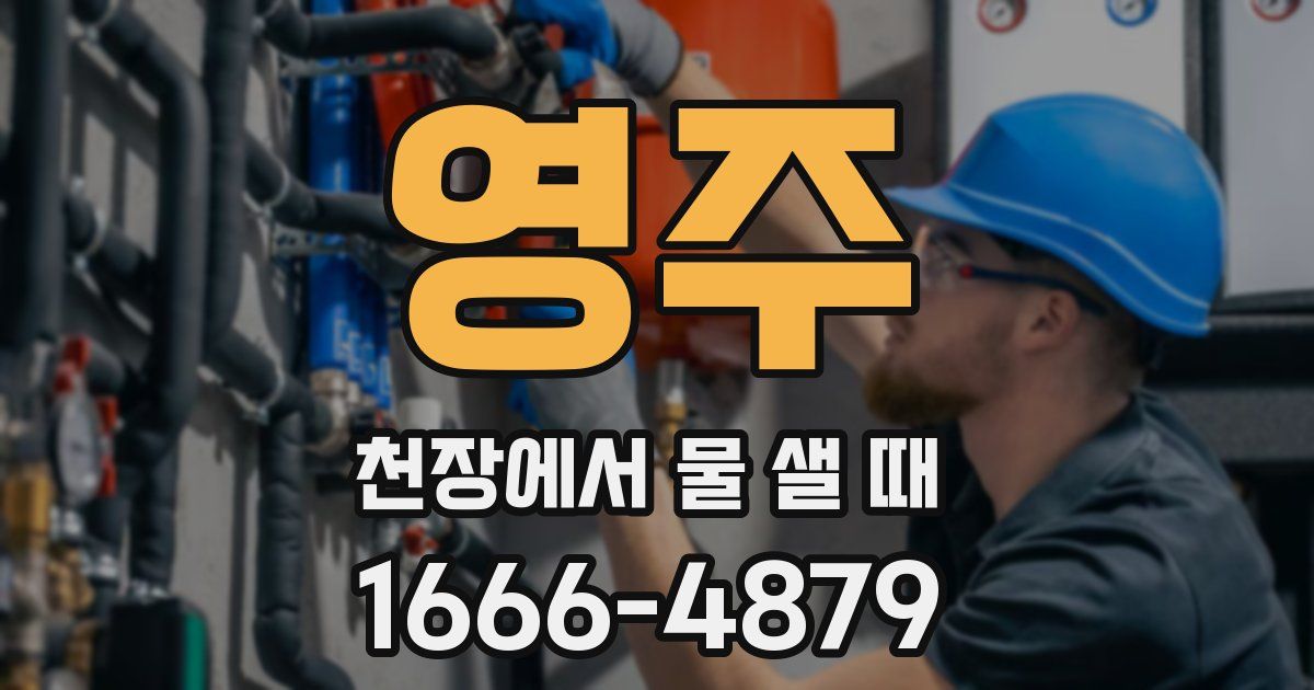 영주 천장에서 물 샐 때