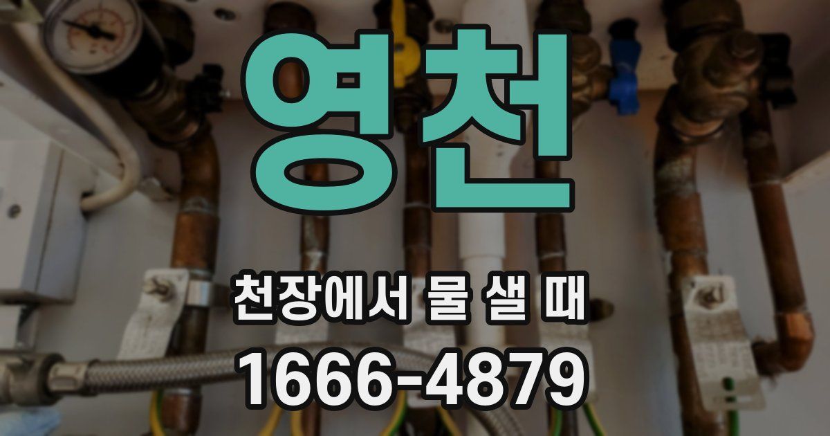 영천 천장에서 물 샐 때