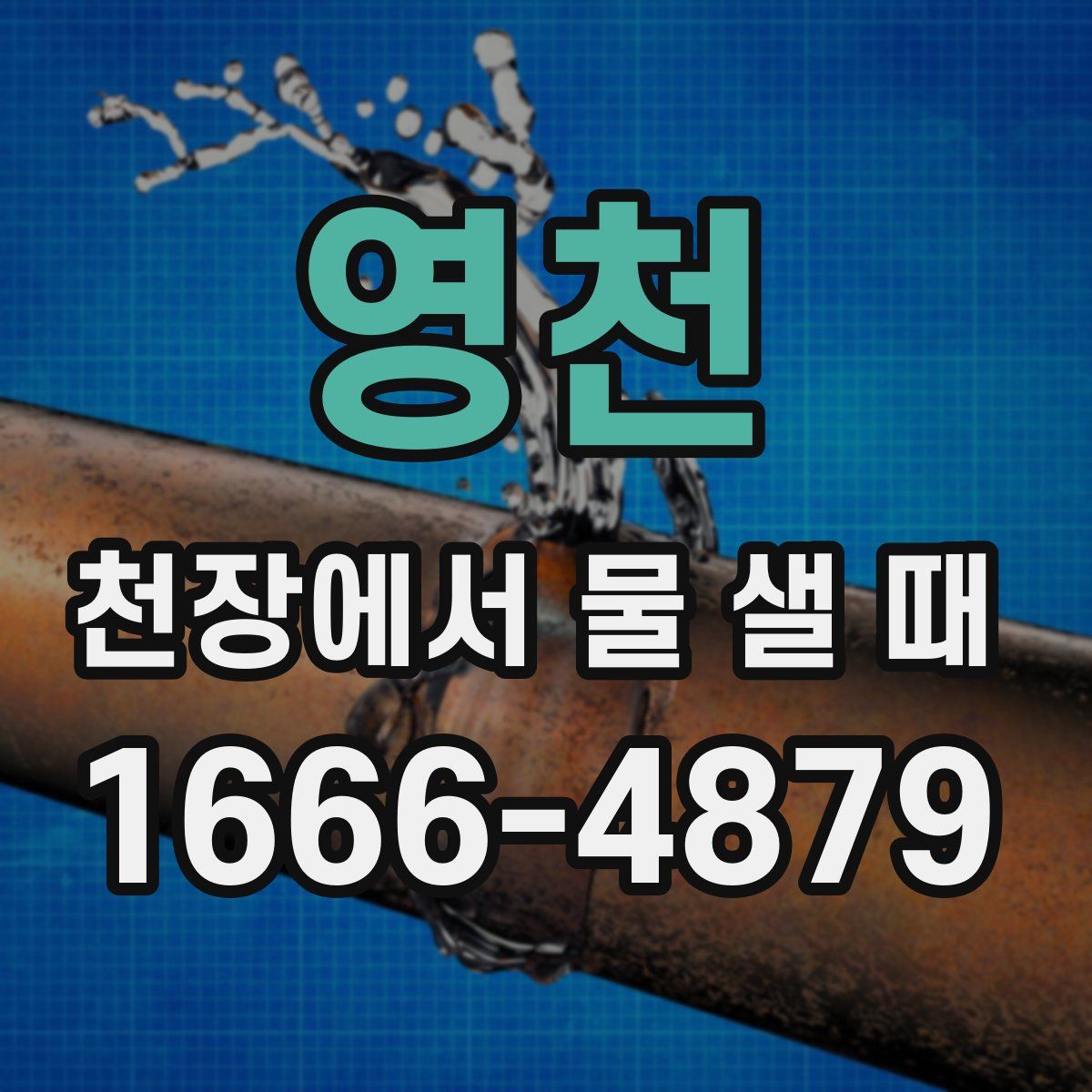영천 천장에서 물 샐 때
