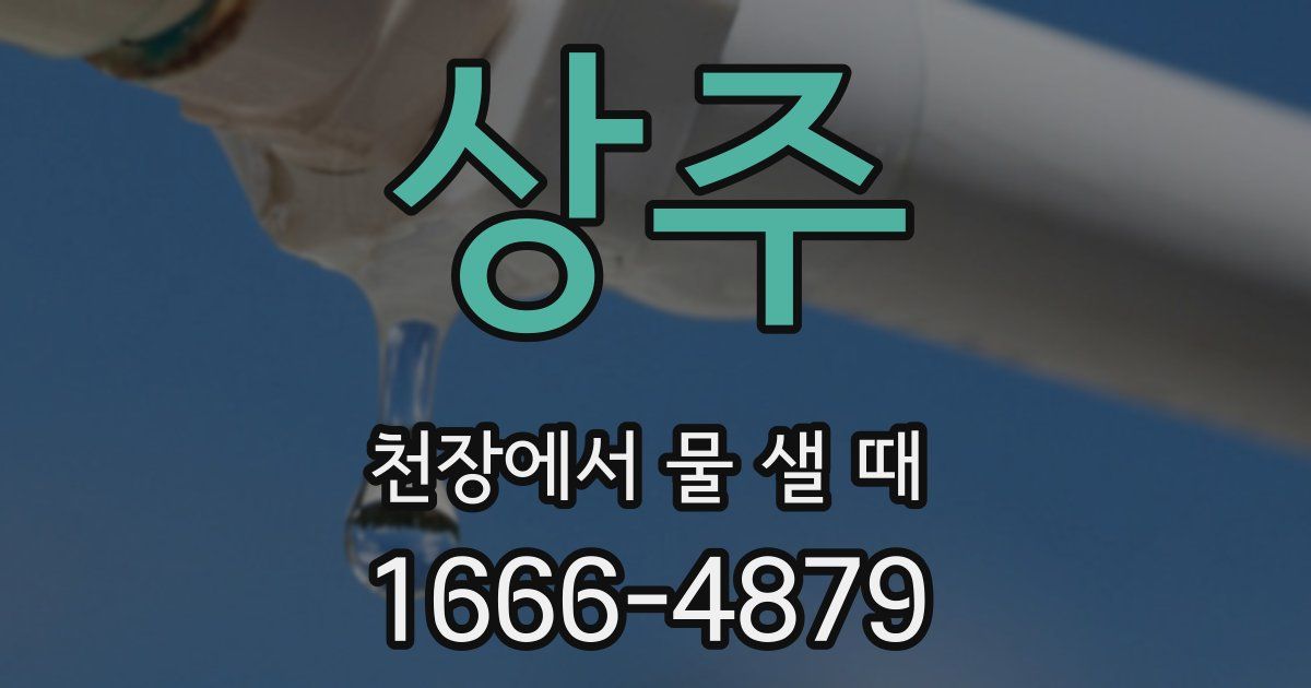 상주 천장에서 물 샐 때